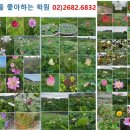광명대한간호학원 이미지