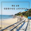 대천해수욕장 즐길거리 추천 대천해수욕장 스카이바이크