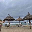 비치플레이스 이미지