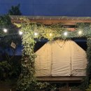 별장도초 | 제주도 여행 제주 공항근처 노형동 감성 술집 동백별장 내돈내산 강추 후기