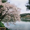청풍명월 | 1박2일 여행지 추천 가족 제천여행 청풍호 의림지 시락국
