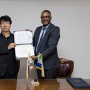 처분이사 이미지