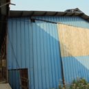 철원목장 이미지