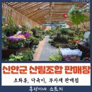 신안군산림조합
