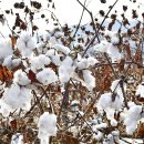 로데오 당구클럽 이미지