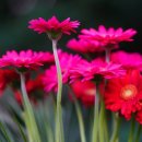 미사좋은집부동산공인중개사사무소 이미지