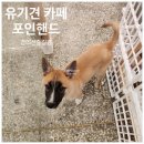 대흥6길 11, (교현동) | 유기견 입양 카페 포인핸드 경의숲점 방문 후기