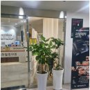 김해속시원내과의원 | 김해 장유 [율하힐링의원] 진료 후기