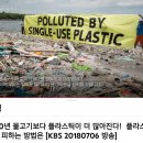 2050년 바다 물고기보다 플라스틱이 더 많아진다 20180706 kbs外 이미지