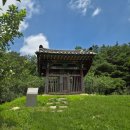 천년숲동로(서) | 하늘재에서 만난 미륵대원지의 보물을 찾아서