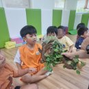 도봉초병설 이미지