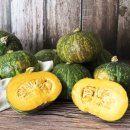 합성동100 이미지