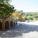 비타민캠핑장 이미지