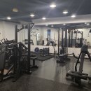 올리브영라페스타