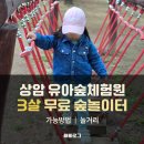 상암 유아숲체험원 후기 3살 아이랑 무료 숲놀이터 자연놀이