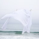 하얀세탁 이미지