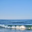 강릉목장 이미지