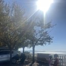 길상면사무소 | [강화도 캠핑장] 갯벌뷰 끝판왕! ‘동검도 노을캠핑장’ 301~303번 노을뷰 명당 사이트 추천 !