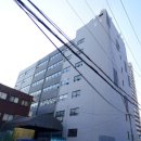 벚꽃로12길 이미지