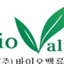건강한삼