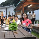 용문산야생화마을 네이버블로그