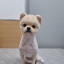 얼바인 동물병원 이미지