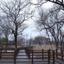 신정호국민관광지 이미지