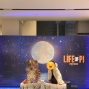 말번식센터 2층 | 연극 라이프오브파이 박강현, 책&amp;영화 다 보고 말많은 후기🧐 GS아트센터 2층 B구역 5열