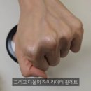 로즈피치 티스토리