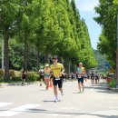 IRONMAN 70.3 고성 - 김홍석 철인 이미지