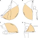 마석서울정형외과의원 이미지