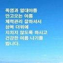 당신이꽃 이미지