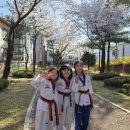 용인대홍익태권도장 네이버블로그