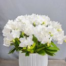 부활절 행사 이미지