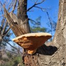 서하리마을회관 이미지