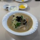 고향전통손짜장 | 6시내고향 탕수육 초마면 유니짜장 인천 맛집 정보(K맛있을지도)