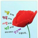 나날 이미지