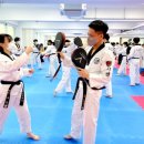 우리동네태권도장 이미지