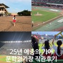 문학경기장 | 25년 애증의 기아타이거즈.. 문학 경기장 직관 후기..