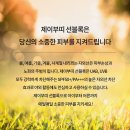 제이부띠 이미지