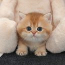 청도메디컬 이미지