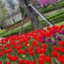 원신근린공원 이미지