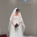 드레스 | 케일라 베넷 세컨드 브랜드, 베네트 촬영 드레스 셀렉 후기