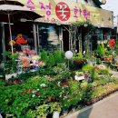 수정꽃화원 이미지
