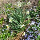 종지농장 이미지