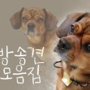 지금 이미지