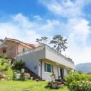 더뷰 민박 이미지