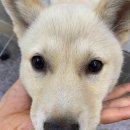 신흥로 190-1 이미지