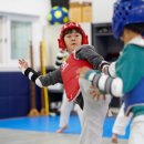 벌교 태권도장 이미지