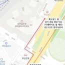 달리아 네일 이미지